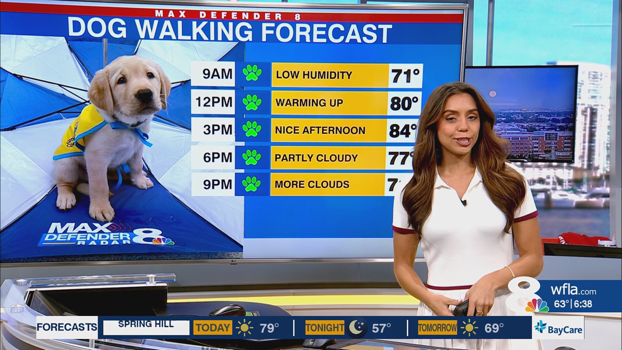 News Channel 8 Today at 6a 20251105 11001200 ts snapshot 00 40 04 346