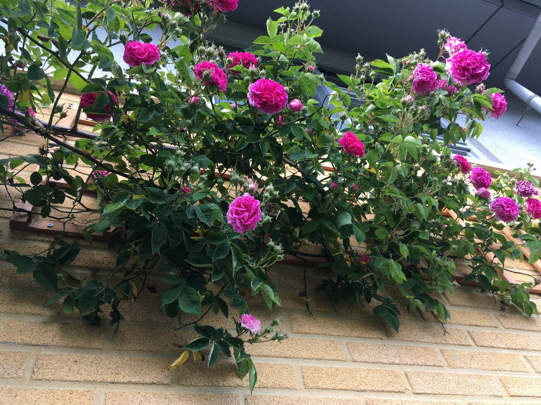 653A436D-EFF7-40DD-A80C-AA745FD6F7AF