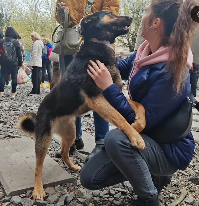 7j5vcar98Bq Si TJgcw QL 2eti Y9U9Ti8H8Gtd WT5 37o85raaso30IY50SH4JN Y1t Z9Hbf Yfqo Na5M9wy3Jop5