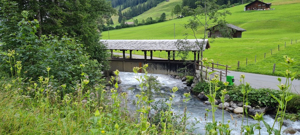 ADELBODEN Y ENGSTLIGENALP: Buscando a Globi - Suiza: 7 veranos, 7 planes con niños (17)