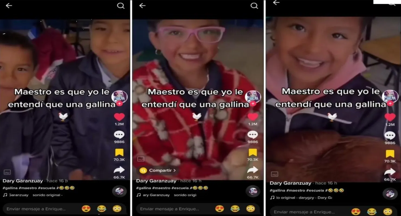 Confunde su tarea y lleva una gallina a la escuela, TikTok se hace viral