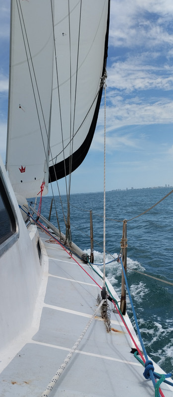 [Imagen: IMG_20251125_135131.jpg]