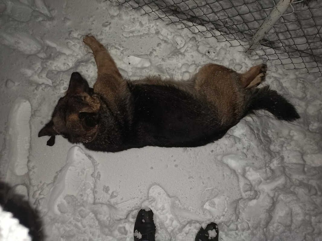 23735396-E66E-4FB3-8791-C19068EFC1C1