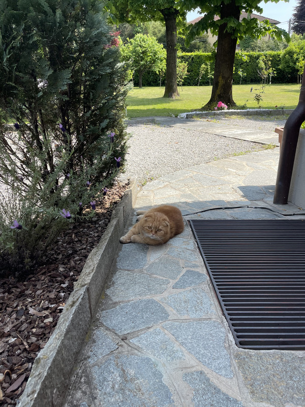 7C69E0E2-E87D-4571-A500-A459228FC903