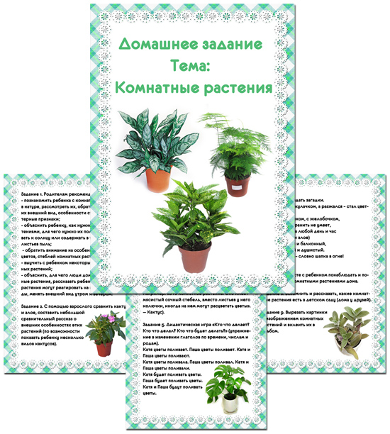 Планирование по теме комнатные растения. Лексическая тема комнатные растения домашнее задание. Комнатные растения в детском саду средняя группа. Лексическая тема комнатные растения подготовительная группа. Комнатные растения старшая группа.