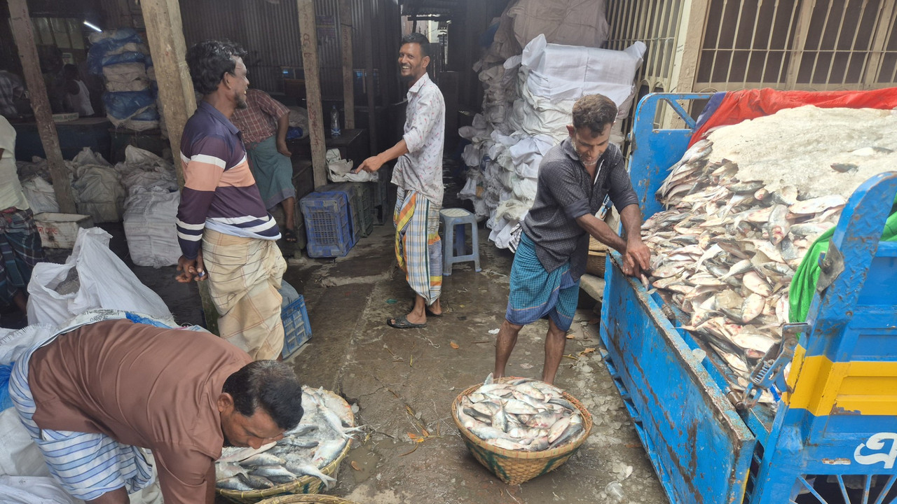 নিষেধাজ্ঞা শেষে নদী-সাগরে ফিরেছেন জেলেরা, বাজারে বেড়েছে ইলিশ