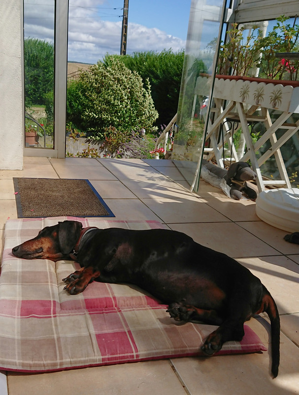 [Image: 20230802-122219.jpg]