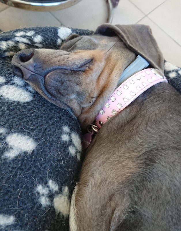 [Image: 20240928-162637.jpg]