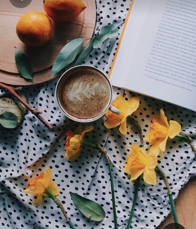 Screenshot_20230418_214131_Pinterest