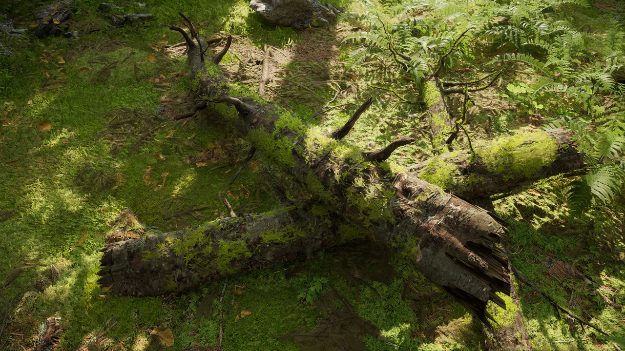 Northern Valley 2025 11 08 01 43 00 101