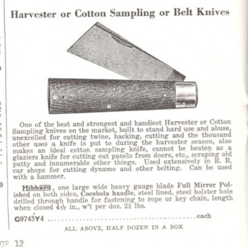 Screenshot-20250630-193750-Gallery.jpg