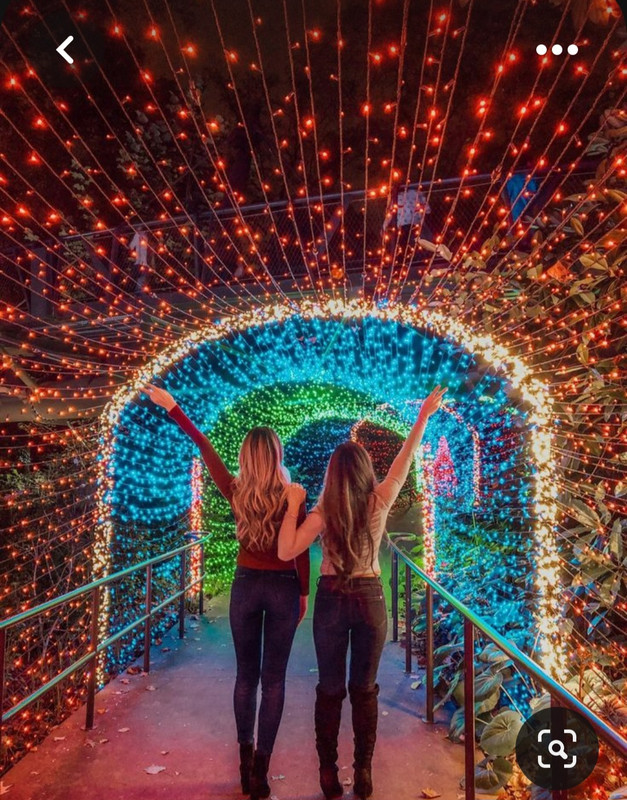 Screenshot_20230601_004736_Pinterest