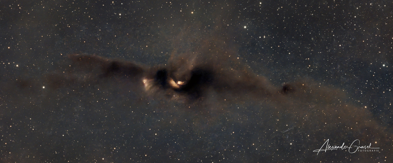 LDN43 Batnebel Ausschnitt