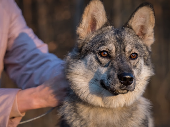 изображение_viber_2022-01-10_11-24-51-128