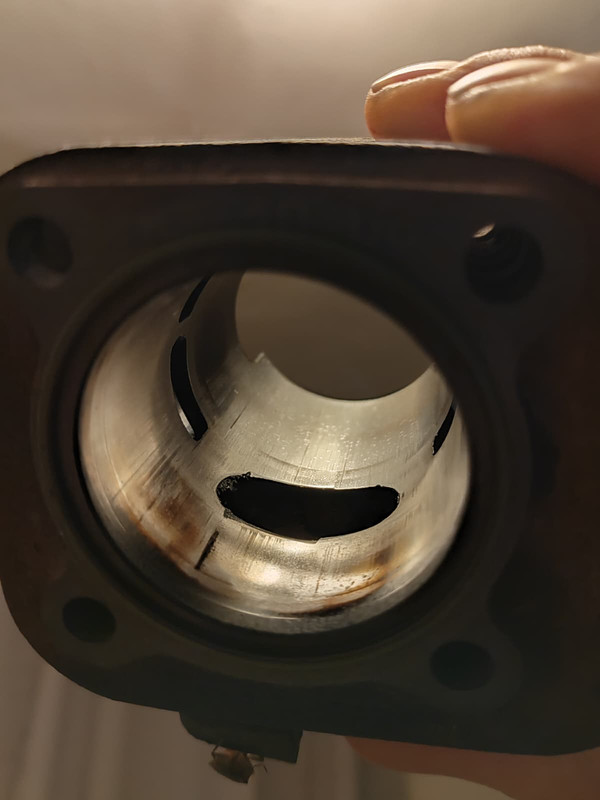 Whats App Image 2026 04 01 at 16 03 23