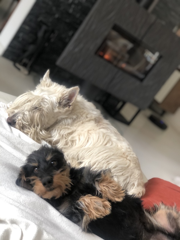 [Image: IMG-9505.jpg]