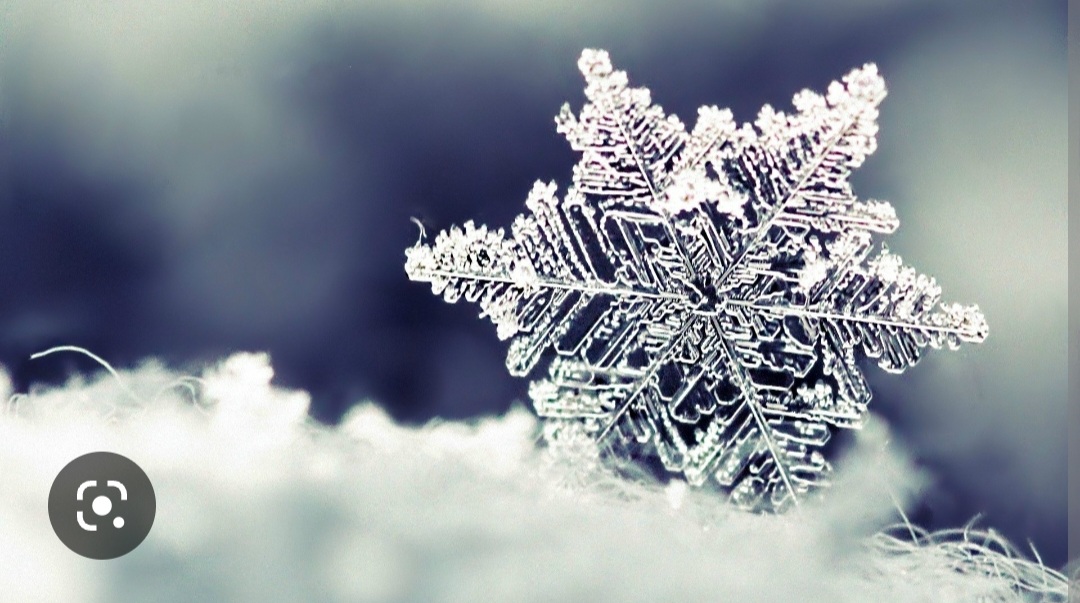 Screenshot_20221125-000814_Chrome