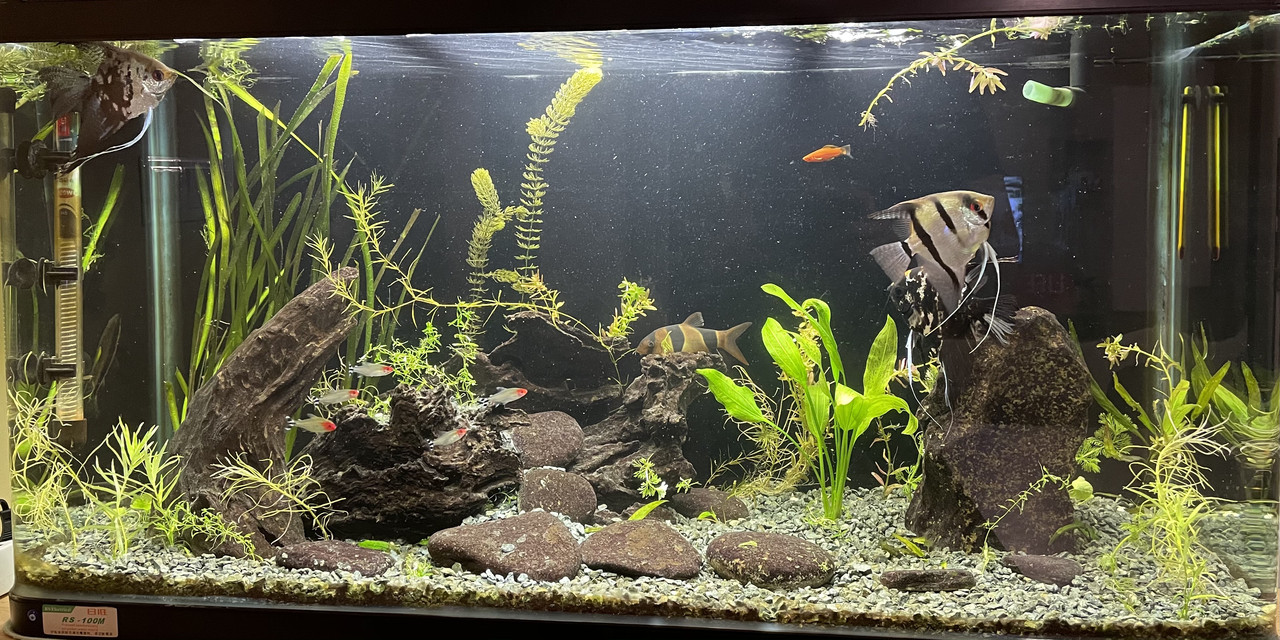 178531C5-047E-4B49-821F-06F306B7AA9A