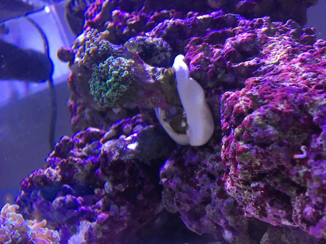 18E8DB42-5288-4DEE-B807-5913F2803F6C