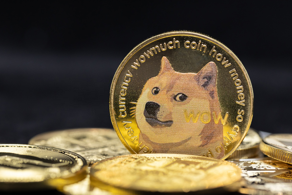 Best Cryptocurrency To Invest In For 2022 - Dogecoin