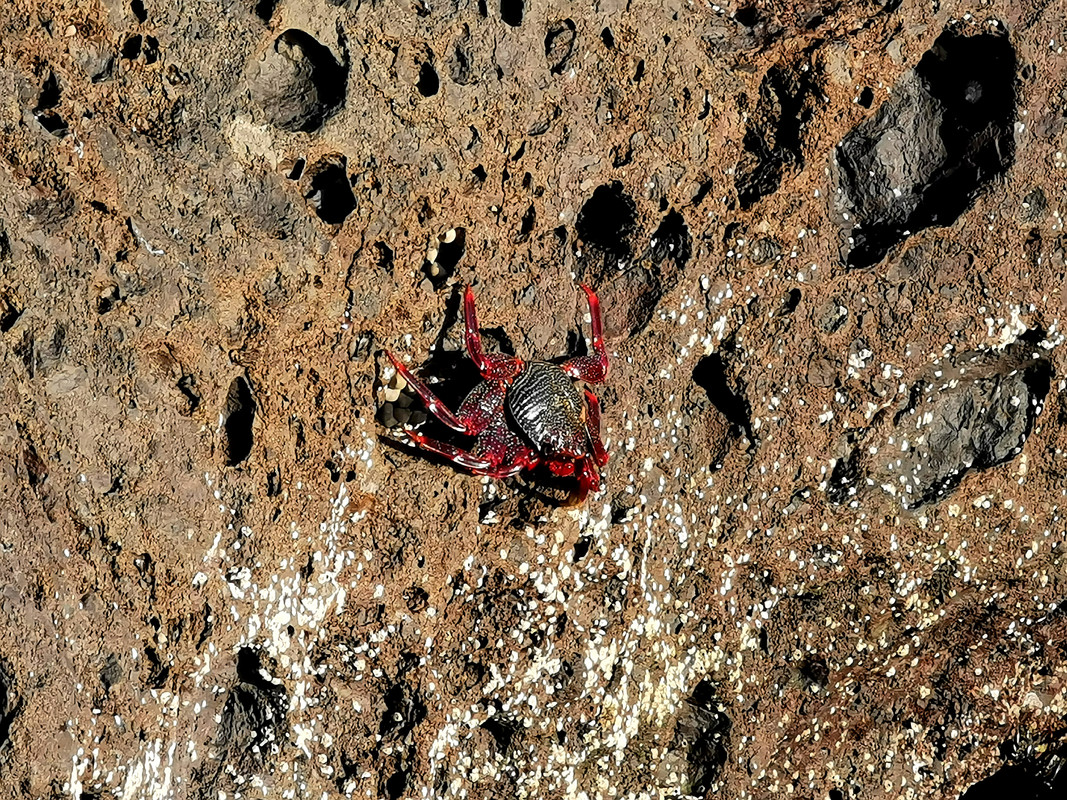 https://i.postimg.cc/wvDPtL6m/IMG_20231221_173439_edit_70847937495960.jpg