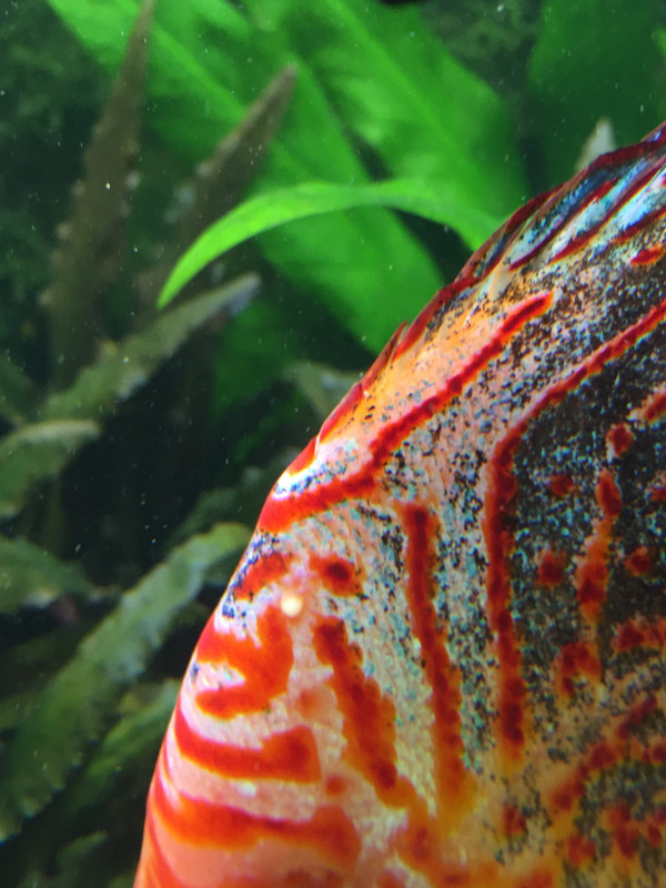 1E0BD260-891D-4C8A-A7AD-6C1D5F8C392F