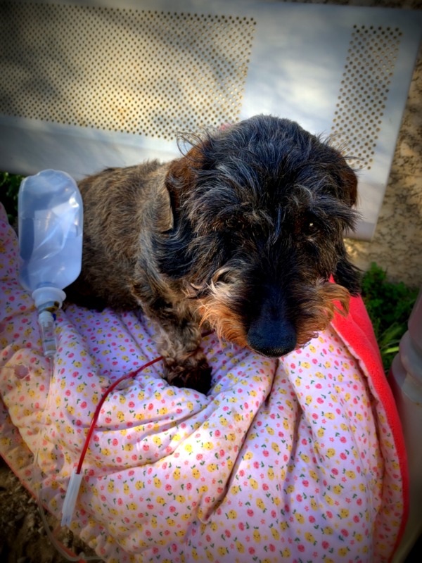 [Image: IMG-0843.jpg]