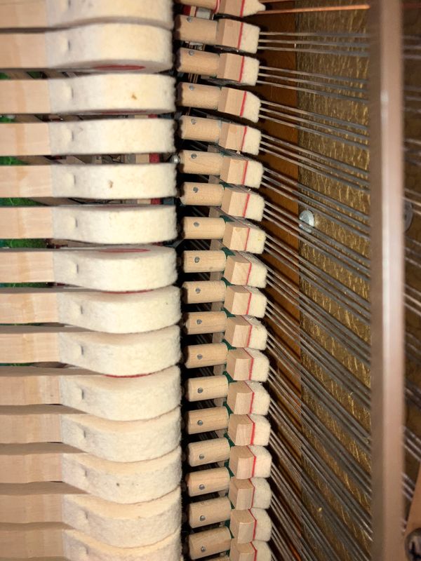 a4292e8ec3a18af19bd2e1c5e4c5f015fd6b1a8f