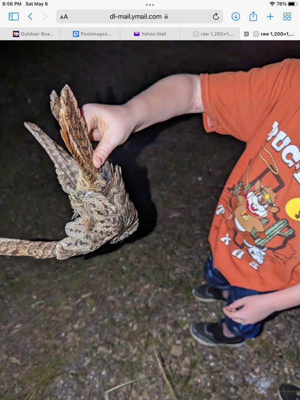 620C9569-7148-4F54-91C5-8D520AE15642