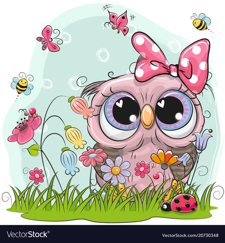 cute-owl-with-flowers-and-butterflies-vector-20730348