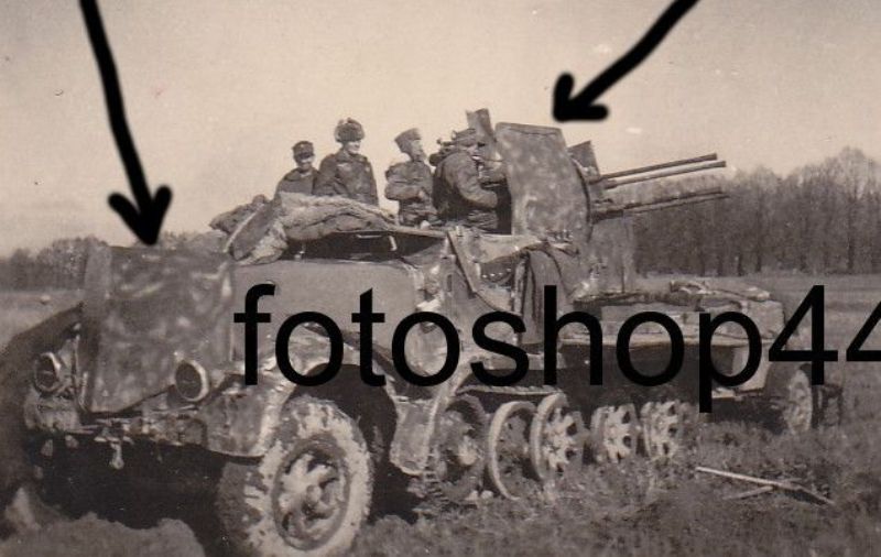 camo sdkfz (1)