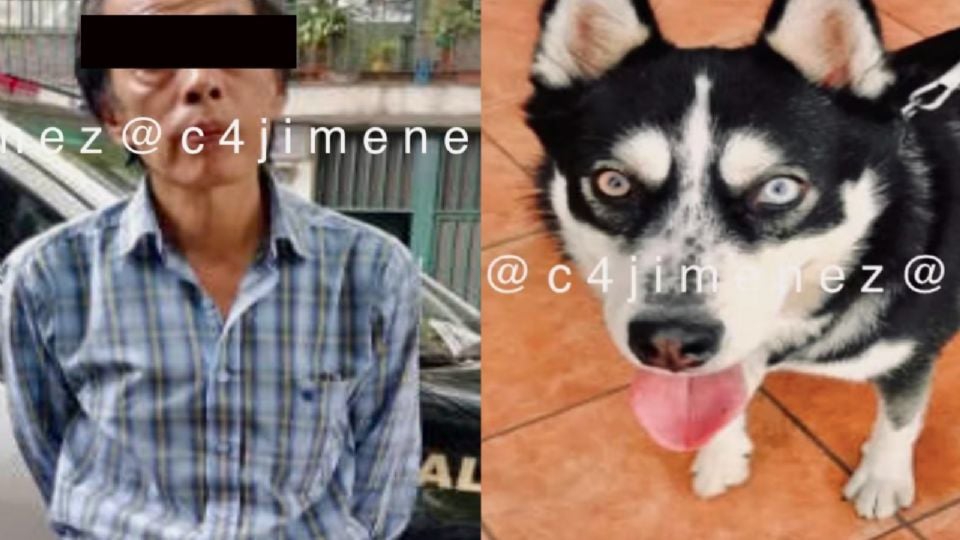 Nuevo caso de maltrato animal: Detienen al dueño de un Husky; el can era golpeado con una cadena