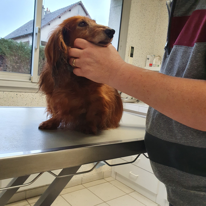 [Image: 20210121-145615.jpg]