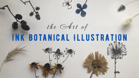Line Drawing: The Art of Ink Botanical Illustration