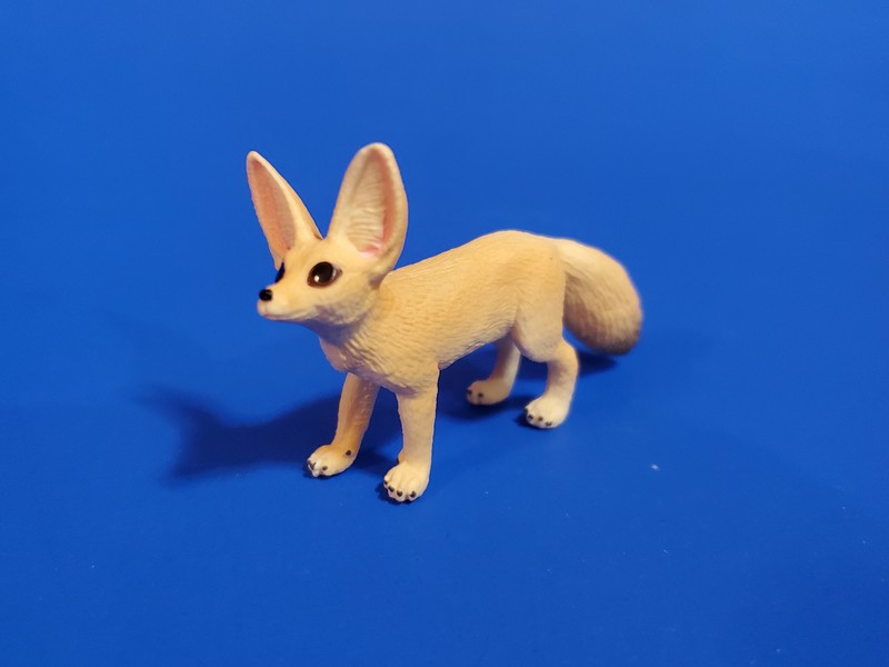 The 2021 STS Wild life Figure of the Year. Make your choice ! Schleich-fennec