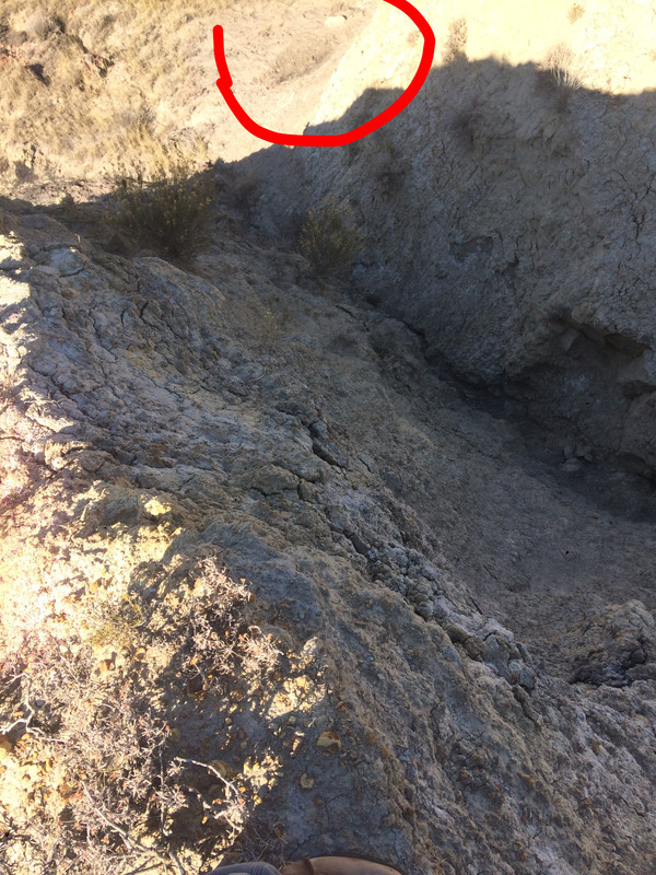 C69552FE-1DAA-40FC-B1AA-2A924BA5B236