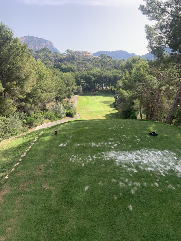 6D3F2F50-96C6-43CC-BB9A-0DE44A92072A