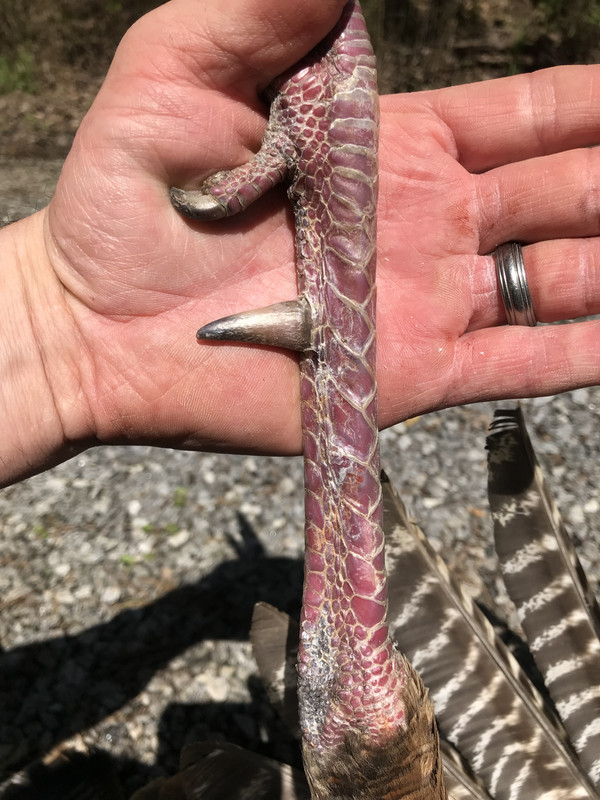 8DE5A3C5-DEE0-4FD1-B9DE-3F561F1E638F