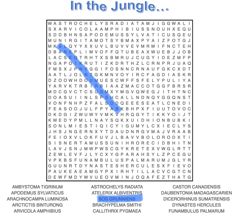 18F340C4-A25B-4C41-BBD7-303E06C10047