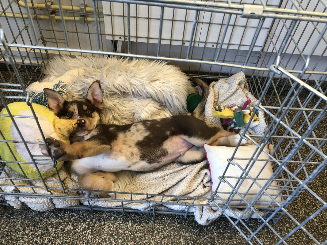 2C3B3BFF-B372-4D40-B910-9578E043C630