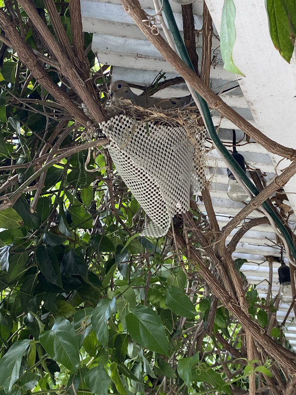 406DF884-5CB2-4269-B2D3-B1D19C51CCFD