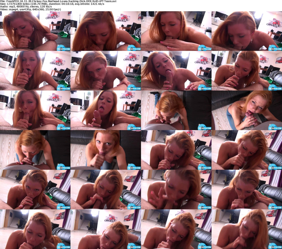 29112024232005screenshot