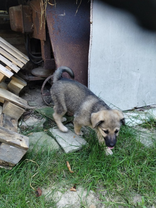 IMG_20250703_154158826