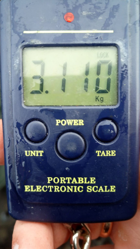 2 Геримантас Лилейка Каунасское отзыв джиг спиннинг рыбалка  бле