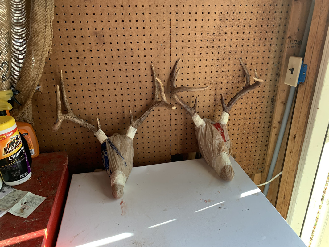 8220F00F-1E28-44E3-B0C7-B0910AEF7573