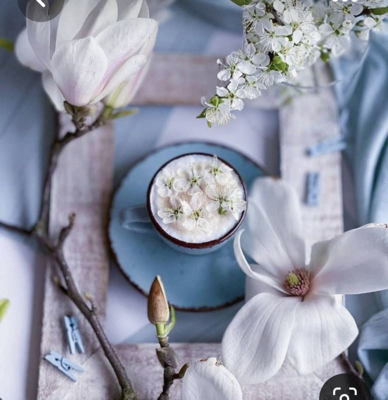 Screenshot_20230307_000829_Pinterest