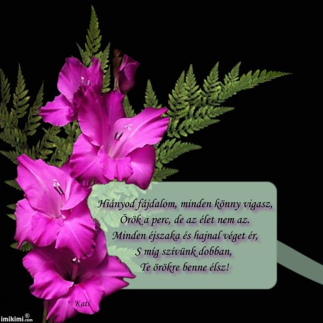 10353632_519414804825604_4508060033225005210_n