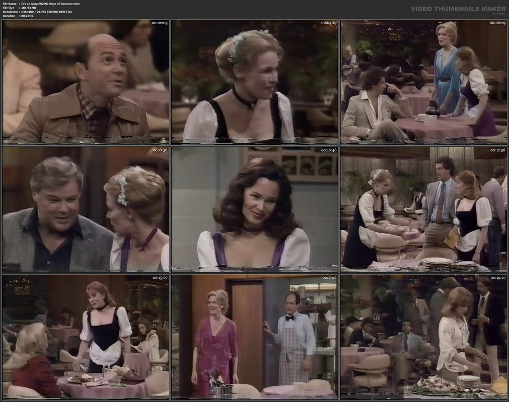 It's a Living S02E01 Boys of Summer.mkv