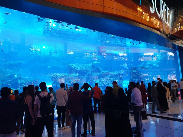 Expo 2020 de Dubai, un viaje de diez - Blogs de Emiratos A. U. - CONOCIENDO DUBAi: Palm Jumeirah - Burj Klhalifa -Dubai Mall (12)