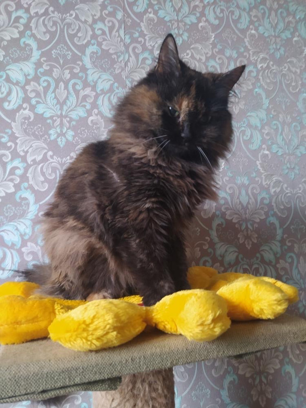 BC9980B1-FA75-4E25-9C7F-C82A5CA365B2